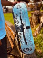 SHAPE EDR MARFIM 2025